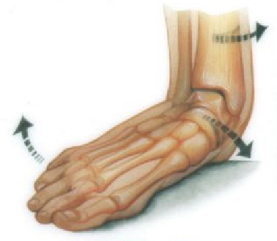 Adult Acquired Flat Feet