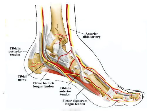 Nerve Entrapment Nerve Entrapment Treatment Burning
