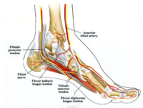 Nerve Entrapment | Nerve Entrapment Treatment | Burning